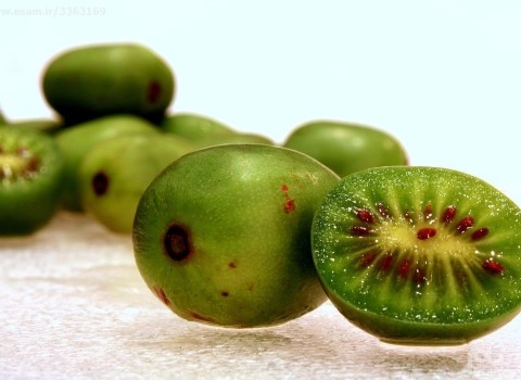 تصویر 2 از قیمت خرید کیوی بدون پرز + فروش ویژه